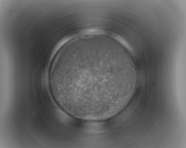 X0000113911474200910011439