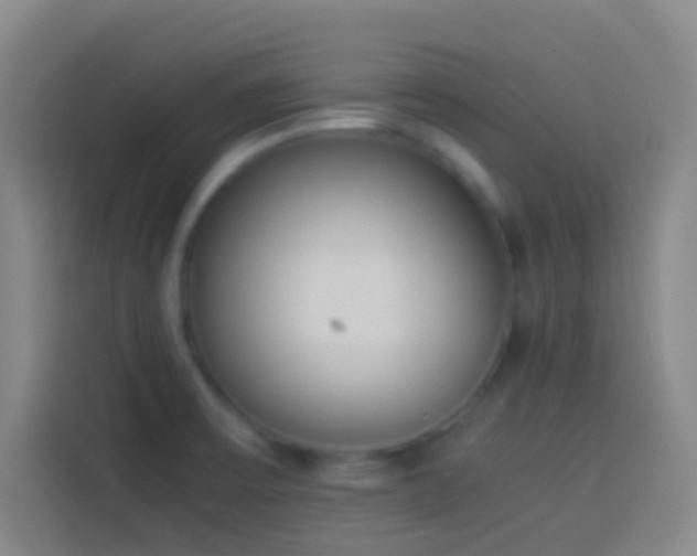 X0000113911475200910011439