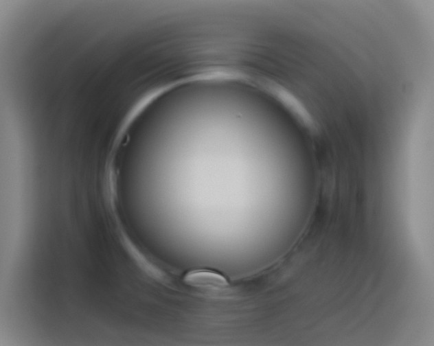 X0000113911476200910011439
