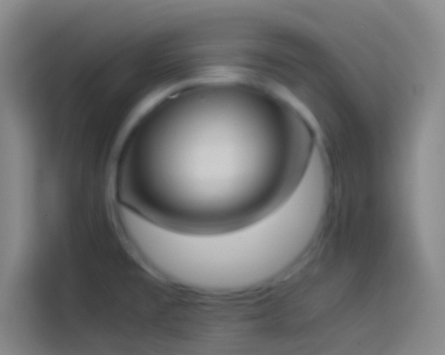 X0000113911477200910011439