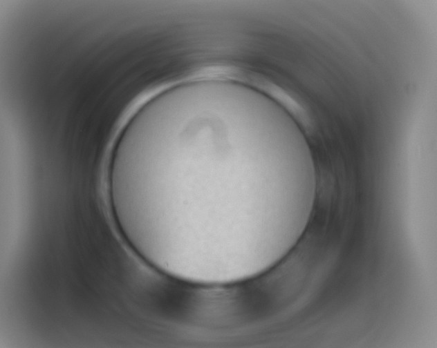 X0000113911478200910011439
