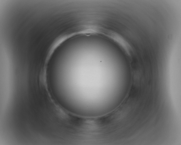 X0000113911480200910011439