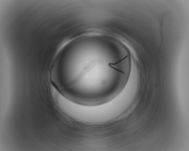 X0000113911481200910011439