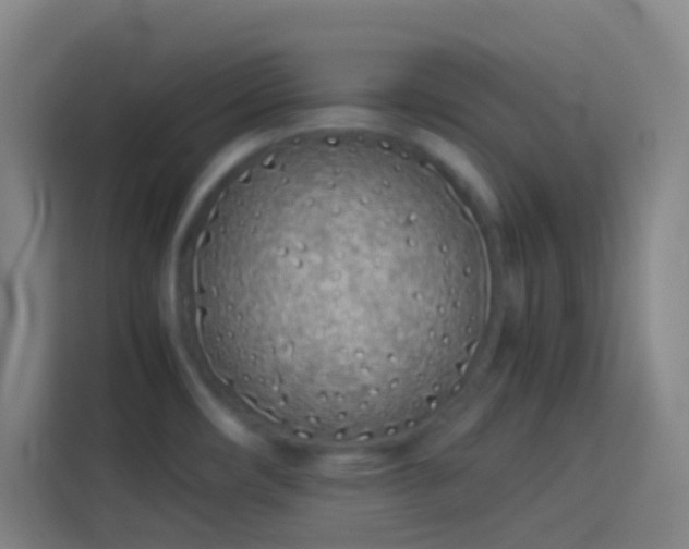 X0000113911482200910011439