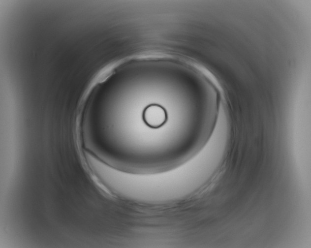 X0000113911485200910011439