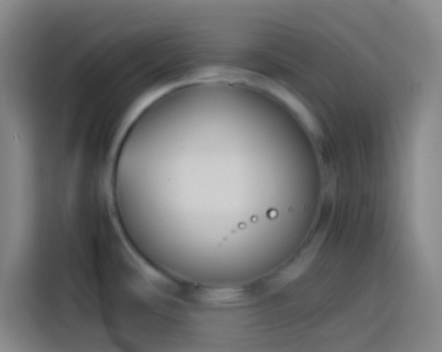 X0000113911486200910011439