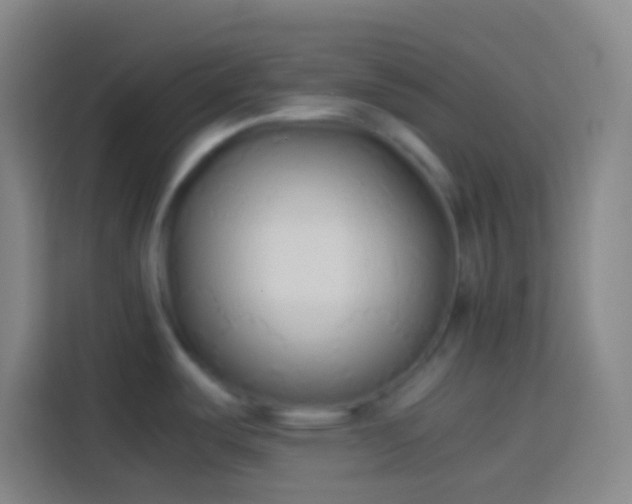 X0000113911487200910011439