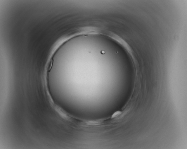 X0000113911488200910011439