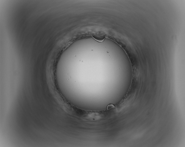 X0000113911489200910011438