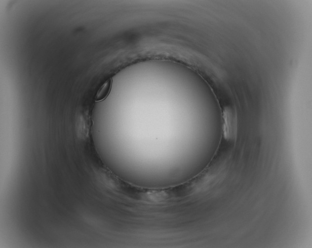 X0000113911491200910011438