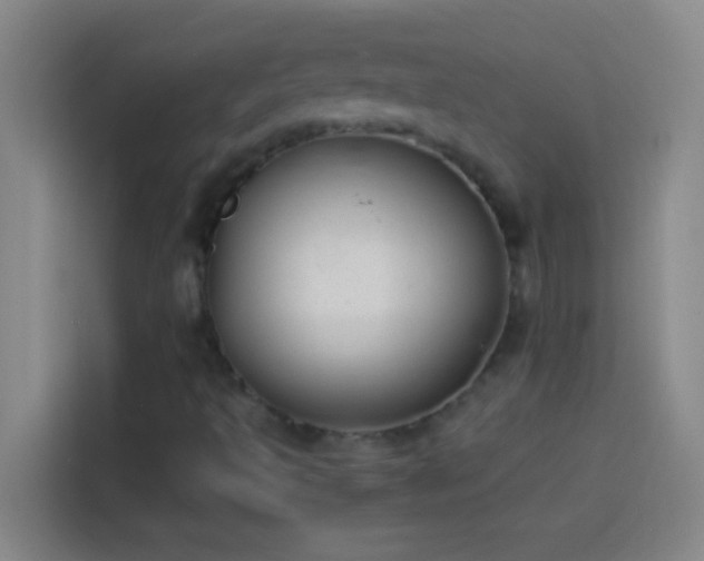 X0000113911493200910011438