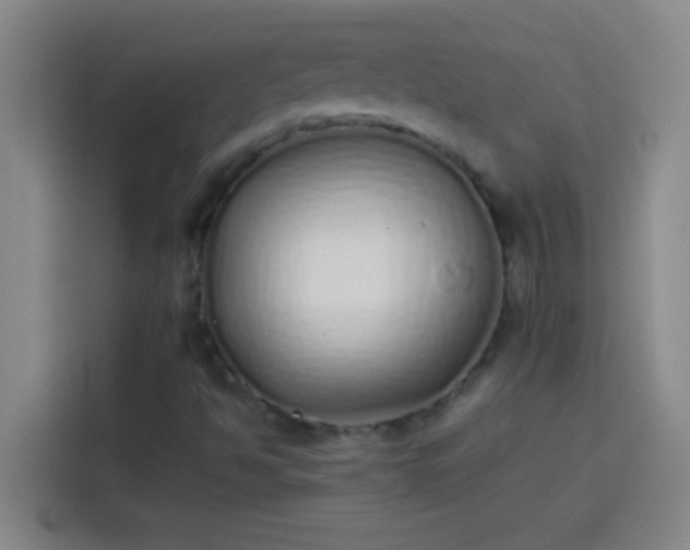 X0000113911494200910011438