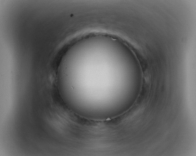 X0000113911495200910011438