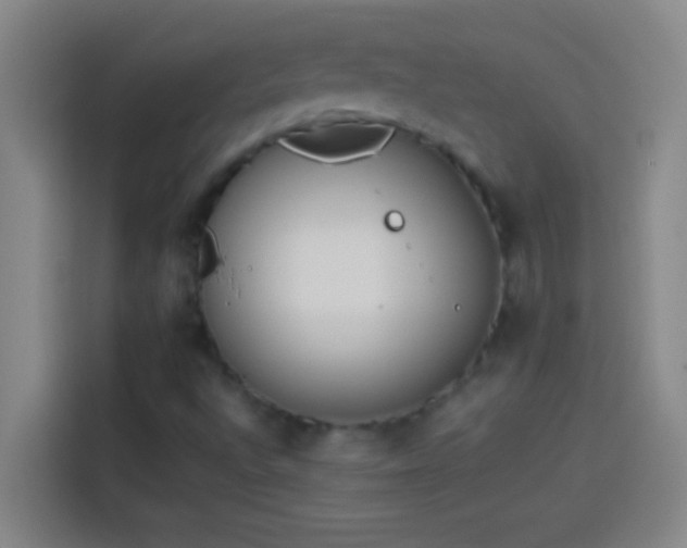 X0000113911496200910011438