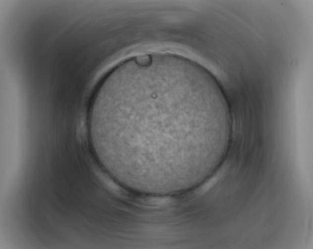 X0000113911498200910011438
