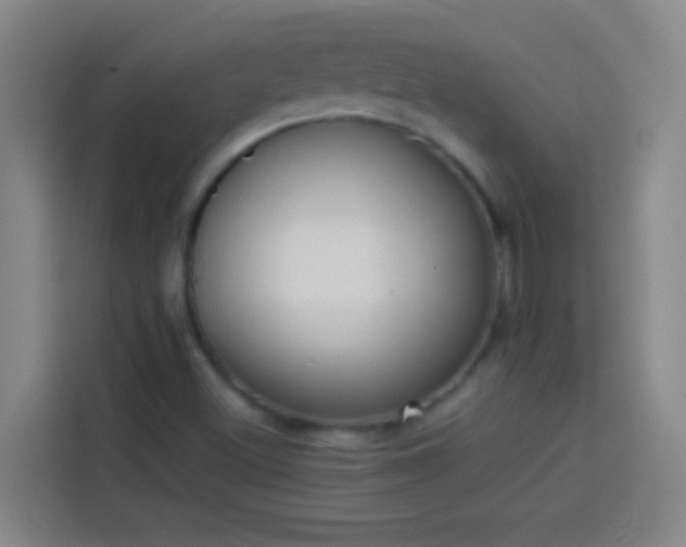 X0000113911500200910011438