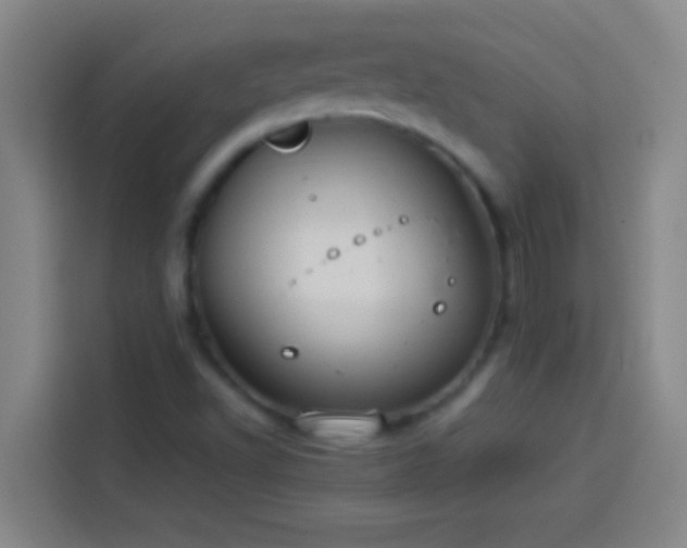 X0000113911502200910011438