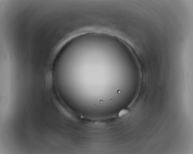 X0000113911503200910011438