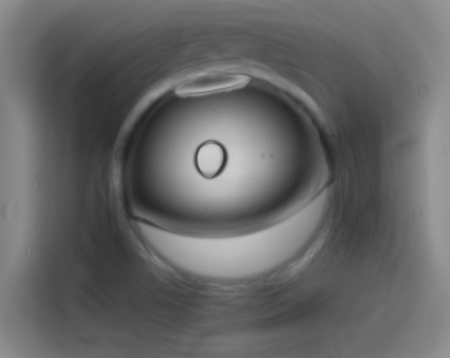 X0000113911506200910011438
