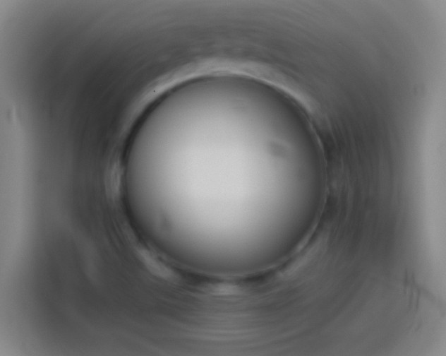 X0000113911507200910011438