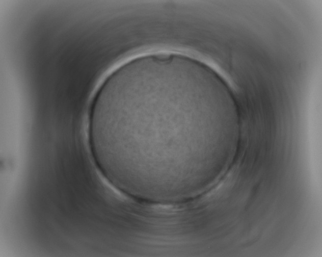 X0000113911508200910011438