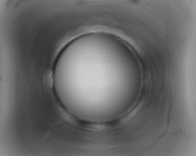 X0000113911509200910011438