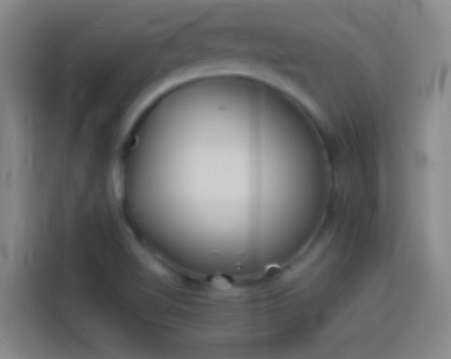 X0000113911510200910011438
