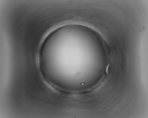 X0000113911511200910011438