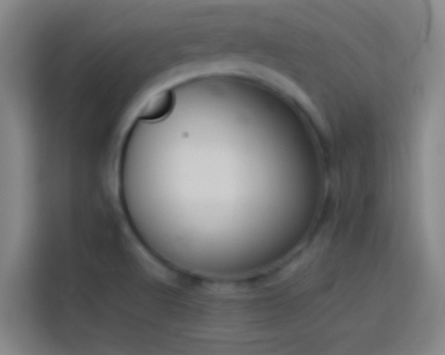 X0000113911512200910011438