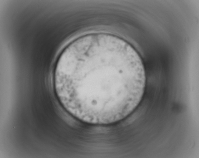 X0000113911514200910011438