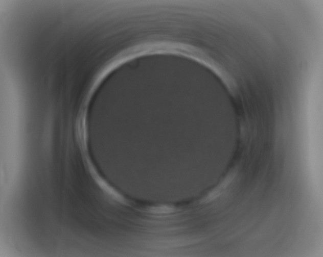X0000113911515200910011438