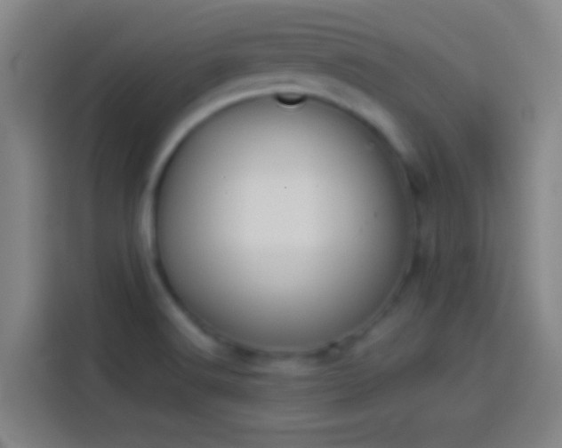 X0000113911516200910011438