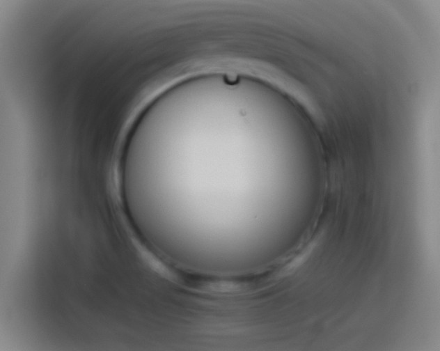 X0000113911517200910011438