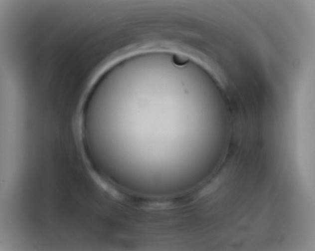X0000113911519200910011438