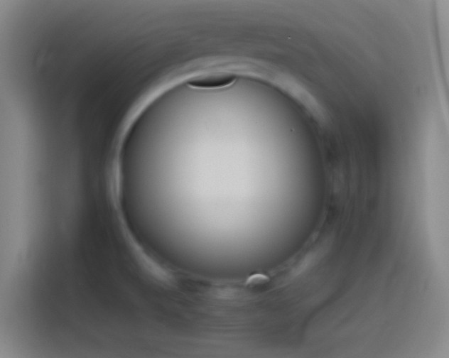X0000113911520200910011438