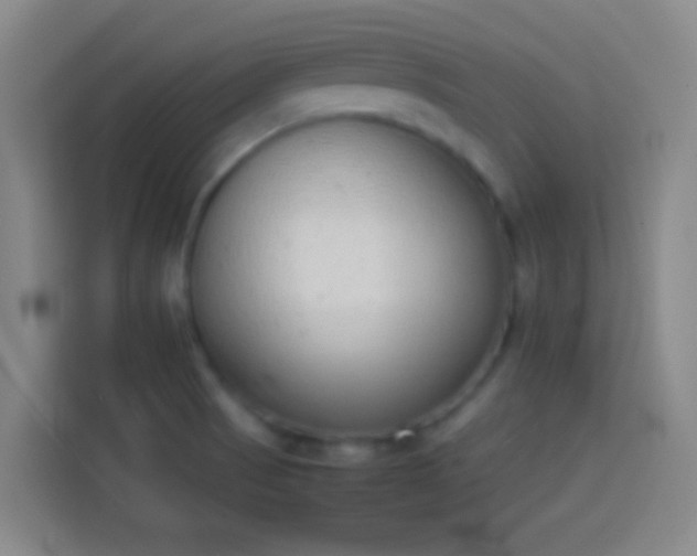 X0000113911521200910011438