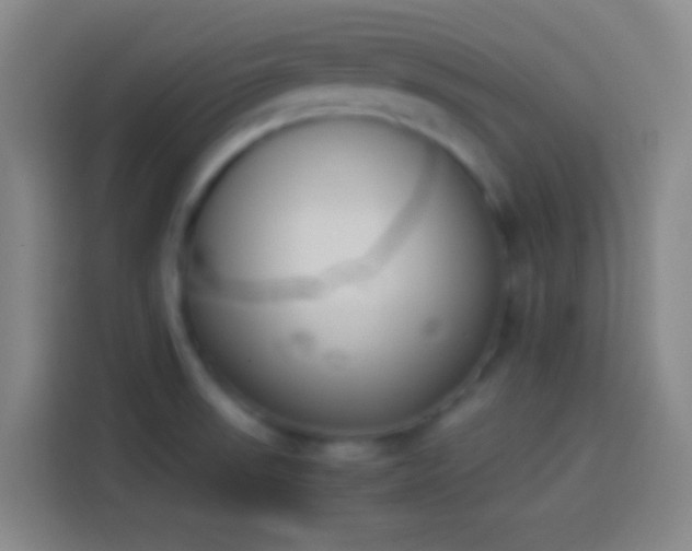 X0000113911523200910011438