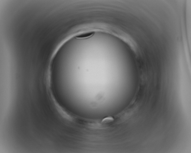 X0000113911524200910011438