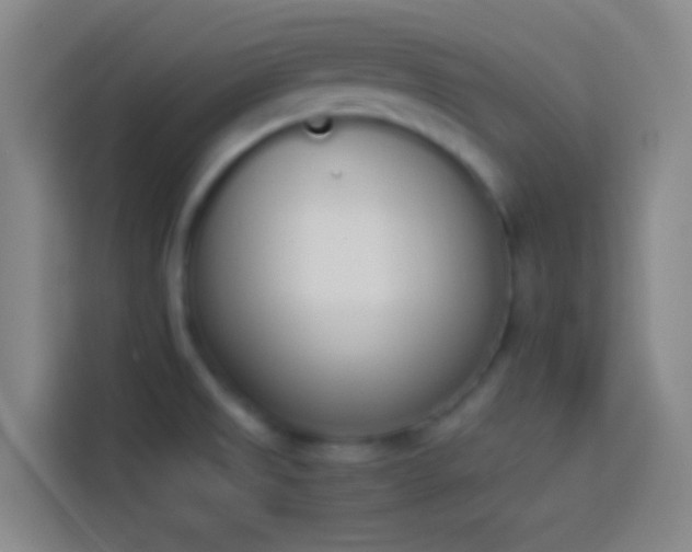 X0000113911525200910011438