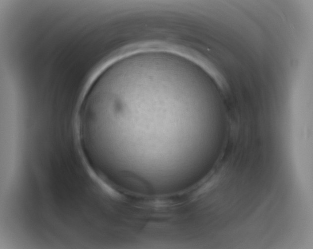 X0000113911527200910011439
