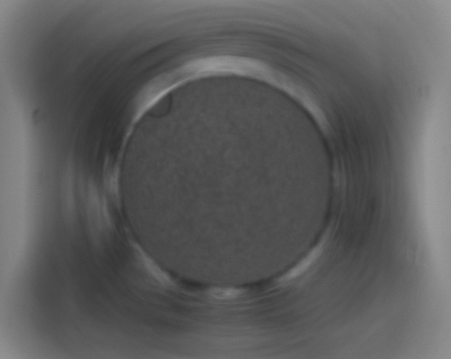 X0000113911529200910011439