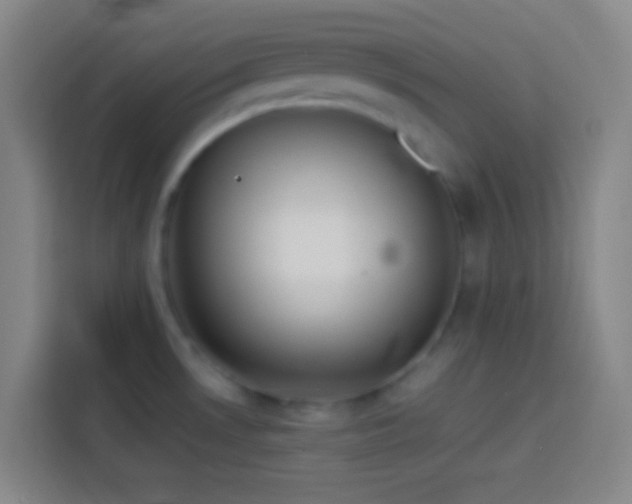 X0000113911530200910011439