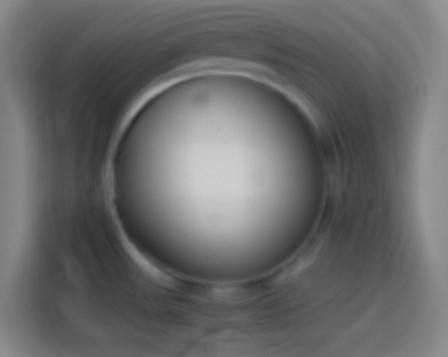 X0000113911531200910011439