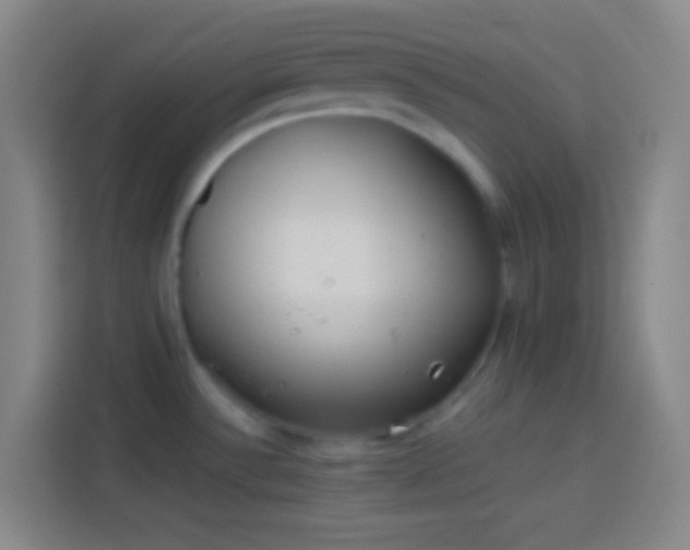 X0000113911532200910011439