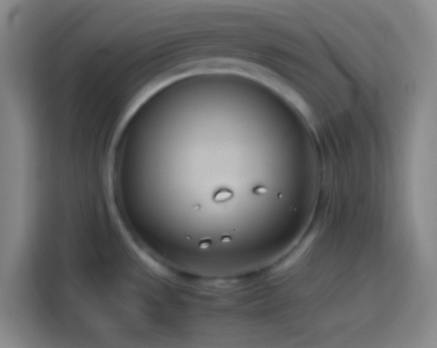 X0000113911533200910011439
