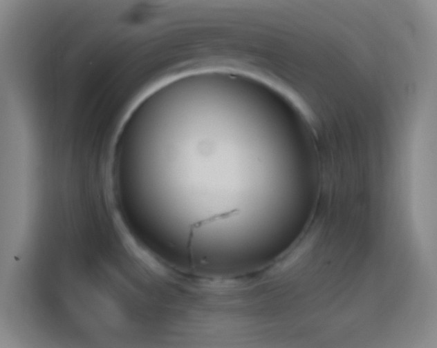 X0000113911534200910011439