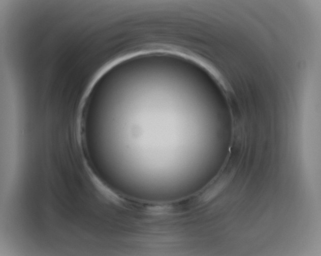 X0000113911535200910011439