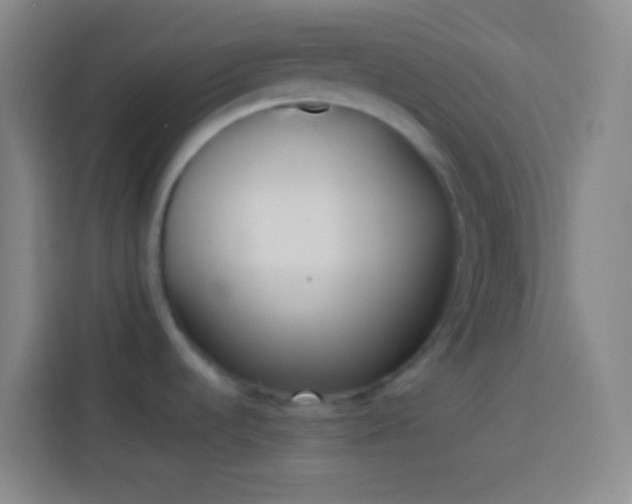 X0000113911536200910011439