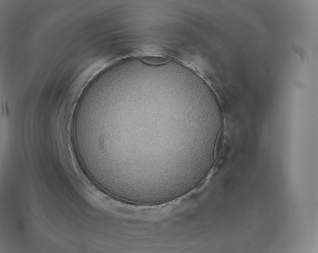 X0000113910001200910081859