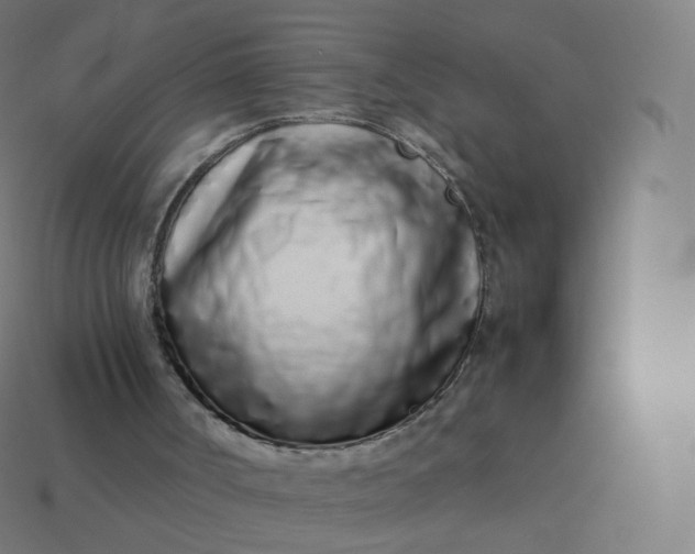 X0000113910002200910081859